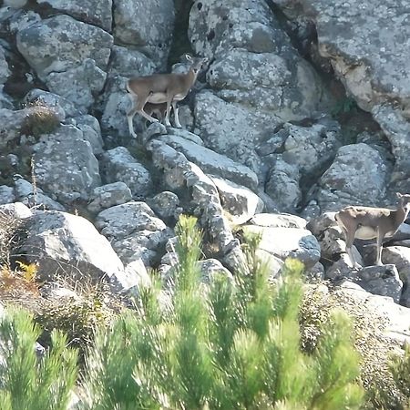 Manderley-Case Sul Mare Santa Caterina Di Pittinuri  Kültér fotó