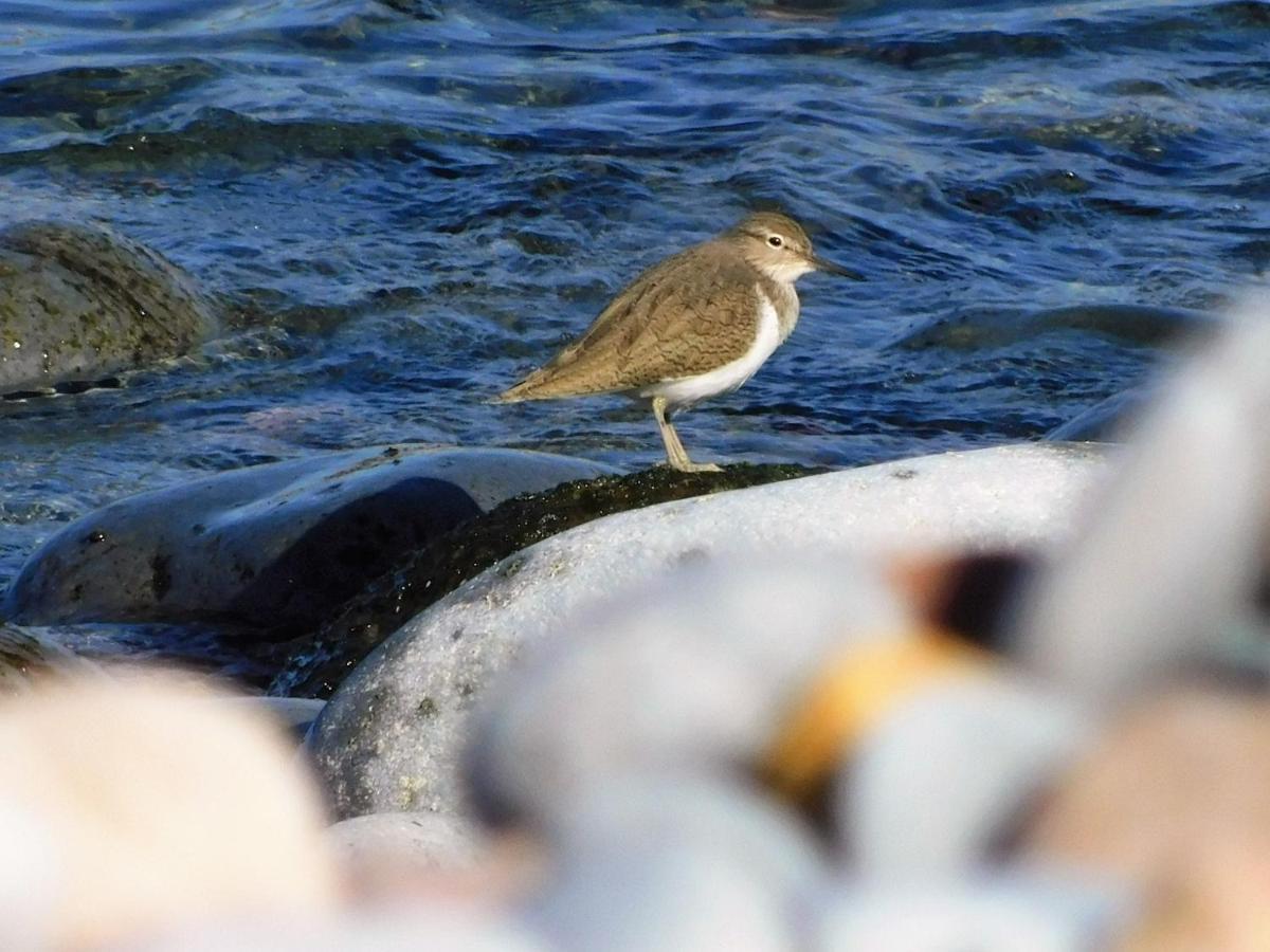 Manderley-Case Sul Mare Santa Caterina Di Pittinuri  Kültér fotó