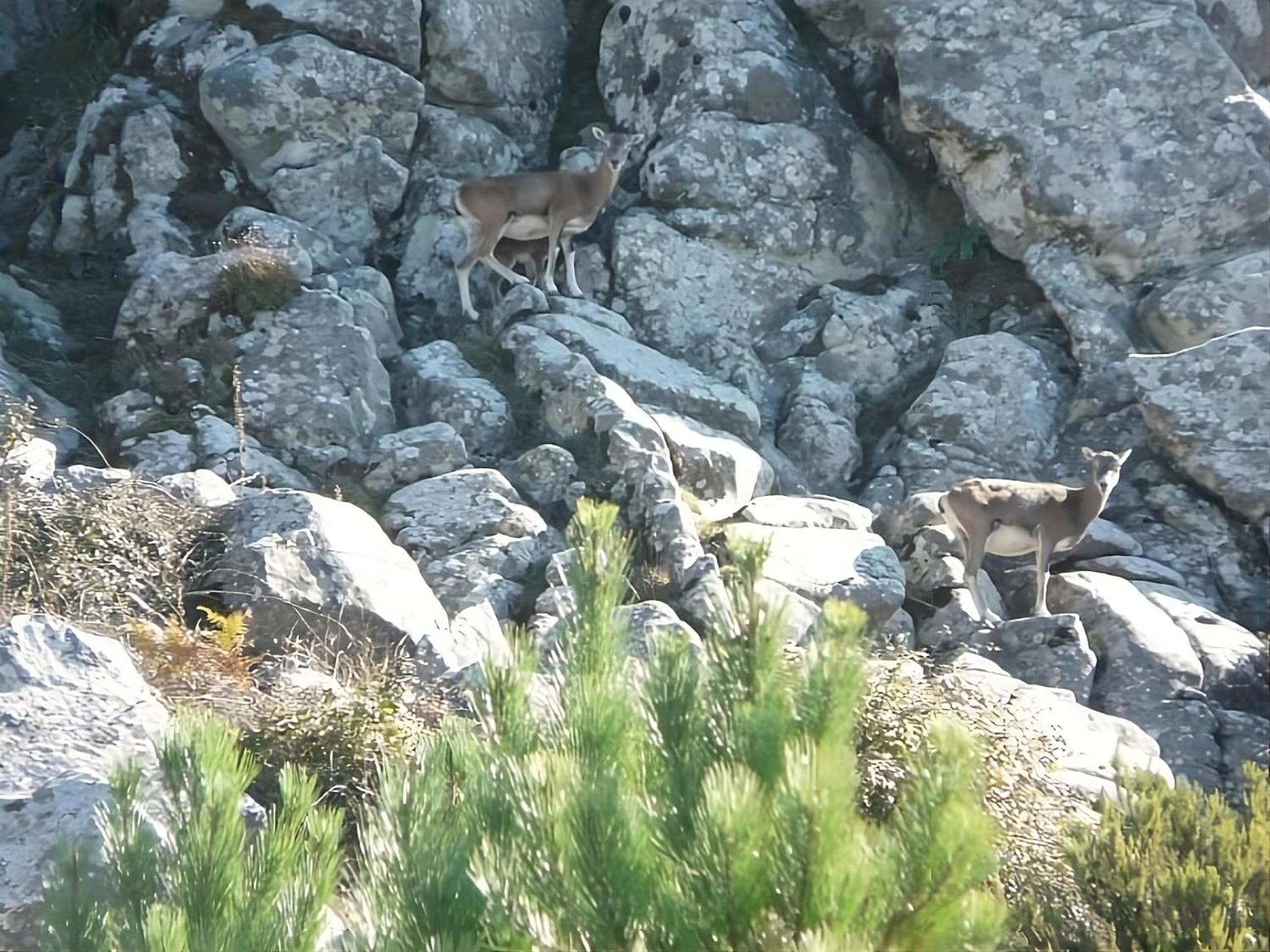 Manderley-Case Sul Mare Santa Caterina Di Pittinuri  Kültér fotó